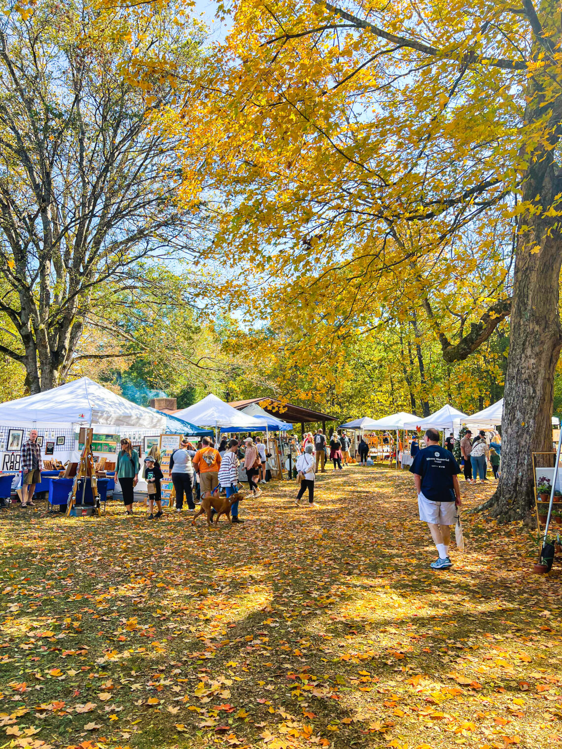 Outdoor Autumn Market