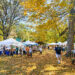 Outdoor Autumn Market